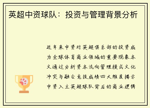 英超中资球队：投资与管理背景分析